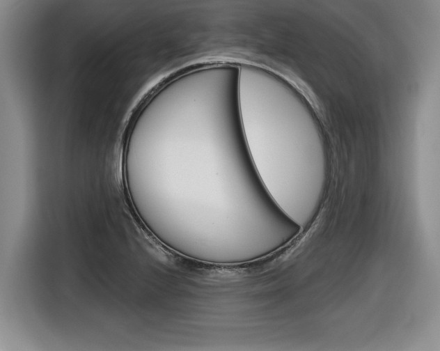X0000116591224200912101325