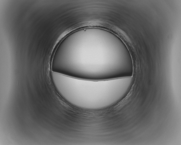X0000116591226200912101325