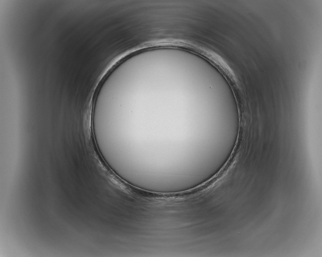 X0000116591228200912101325