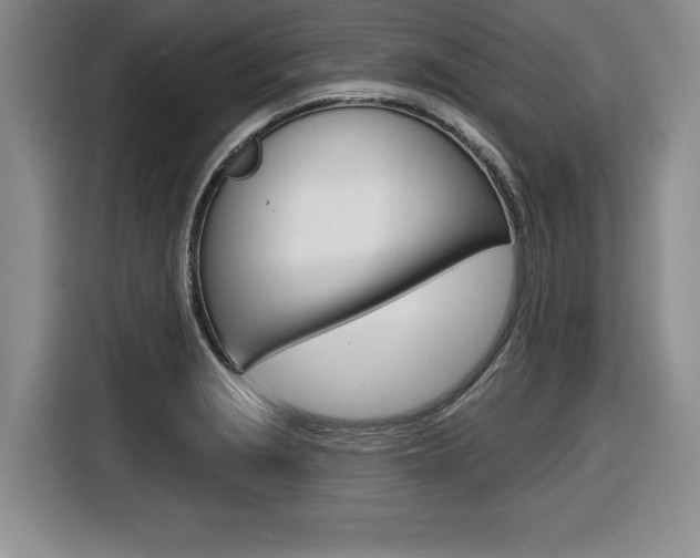 X0000116591229200912101325