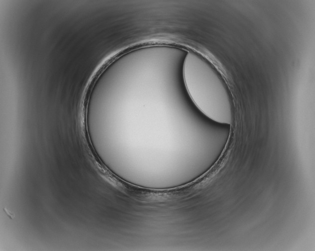 X0000116591232200912101325