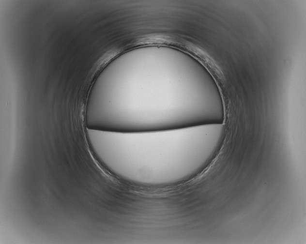 X0000116591233200912101325