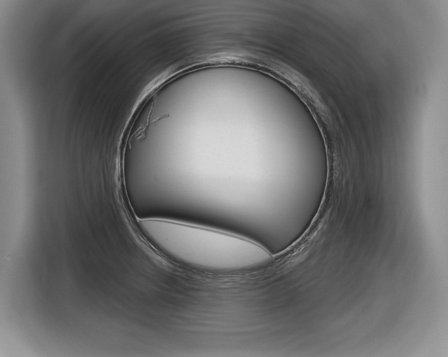 X0000116591234200912101325
