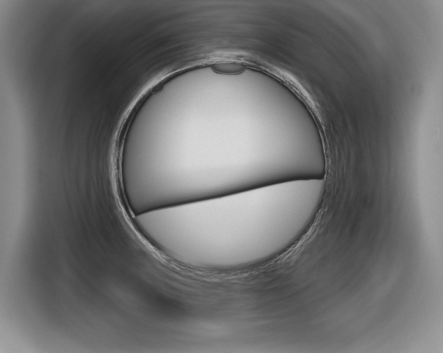 X0000116591235200912101325