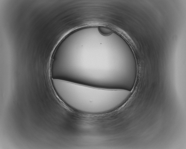 X0000116591236200912101325