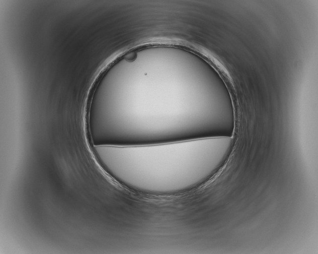 X0000116591237200912101325