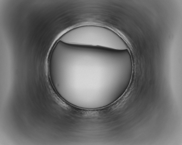 X0000116591238200912101325