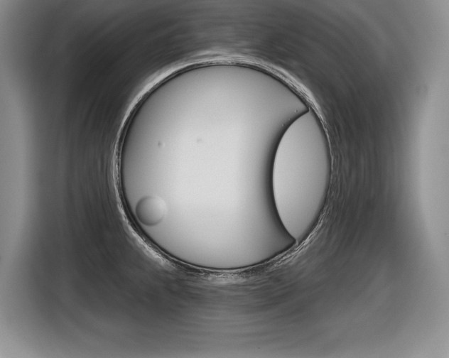 X0000116591239200912101325