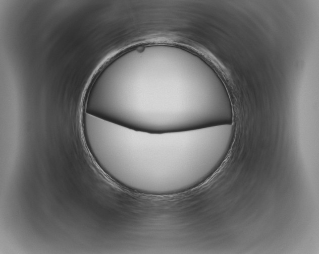 X0000116591240200912101325