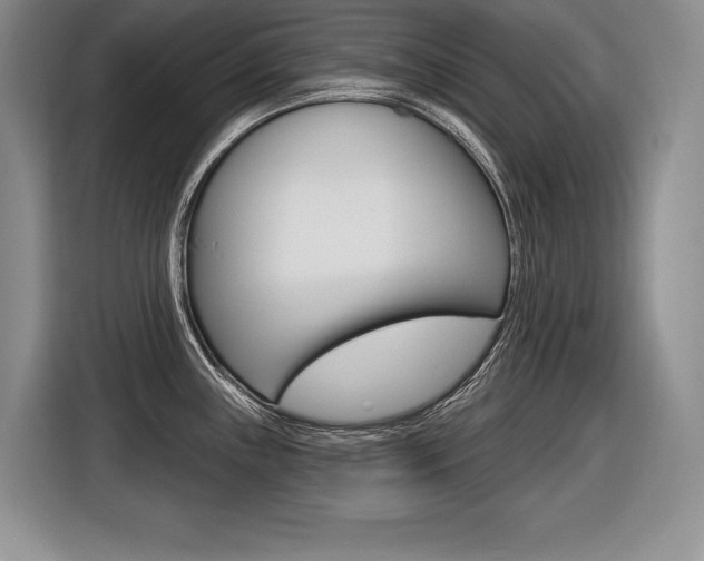 X0000116591243200912101325