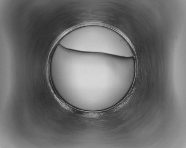 X0000116591245200912101325
