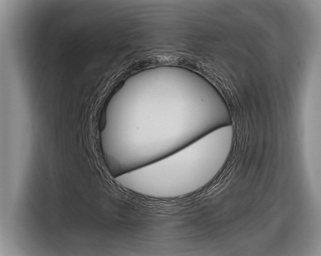 X0000116591249200912101324