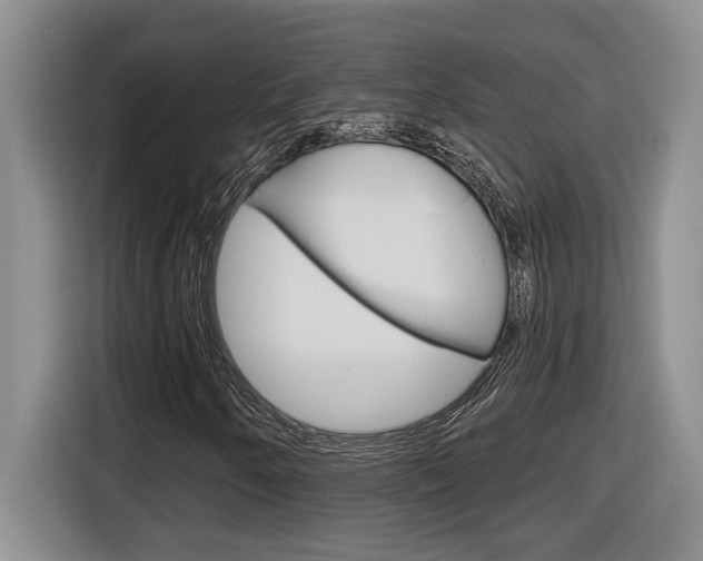 X0000116591250200912101324