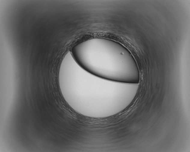 X0000116591252200912101324