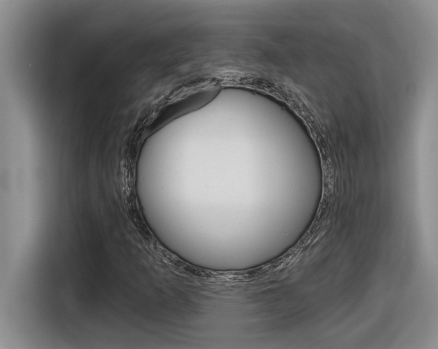 X0000116591253200912101324