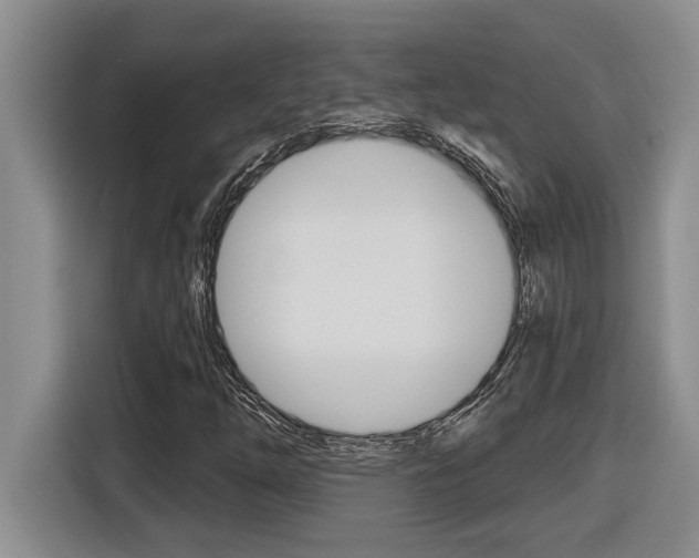 X0000116591254200912101324