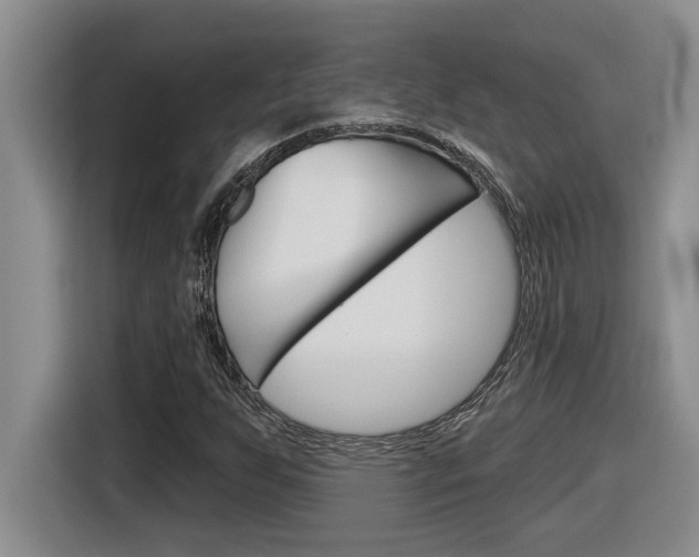 X0000116591255200912101324
