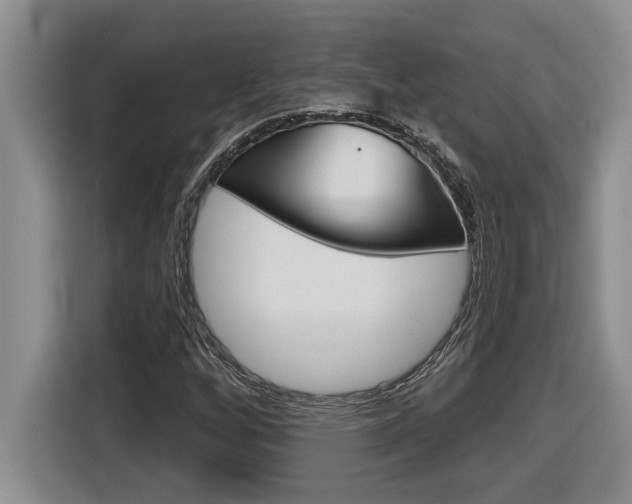 X0000116591256200912101324