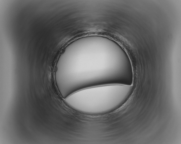 X0000116591257200912101324