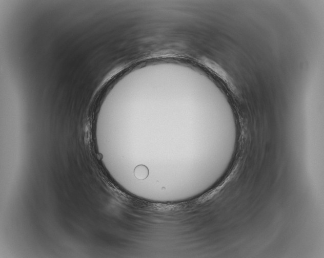 X0000116591258200912101324