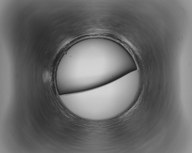 X0000116591259200912101324