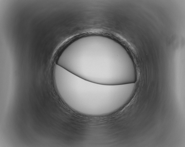 X0000116591262200912101324
