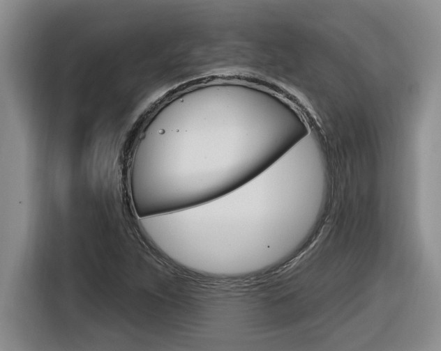 X0000116591263200912101324