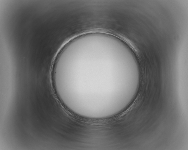 X0000116591264200912101324