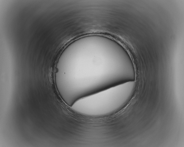X0000116591265200912101324