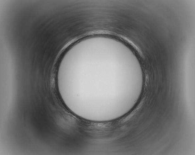 X0000116591266200912101324