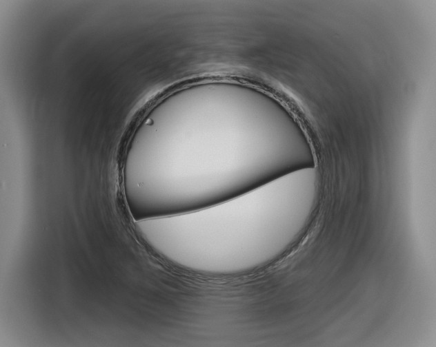X0000116591267200912101324