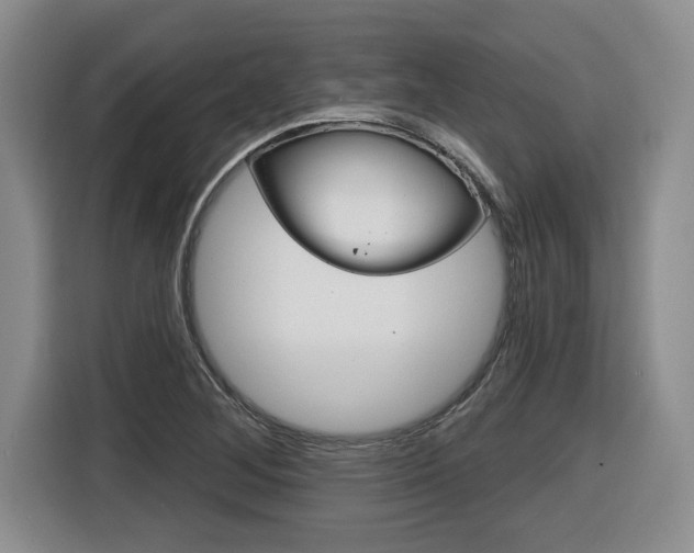 X0000116591268200912101324