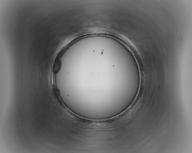 X0000116591269200912101324