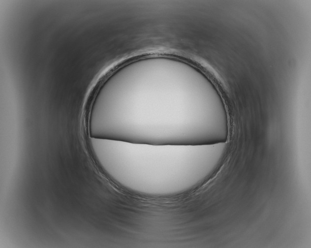 X0000116591270200912101324