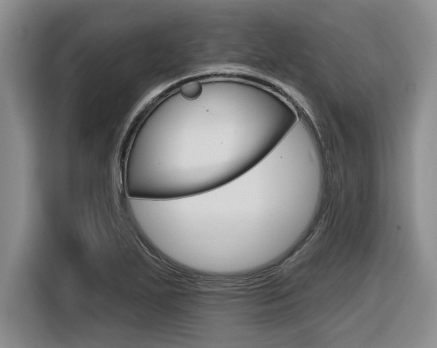 X0000116591271200912101324