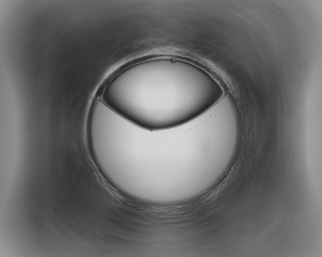 X0000116591272200912101324