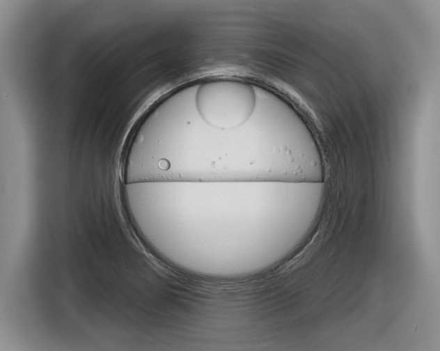 X0000116591274200912101324