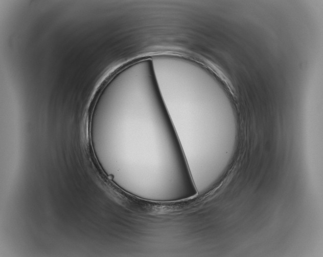 X0000116591275200912101324