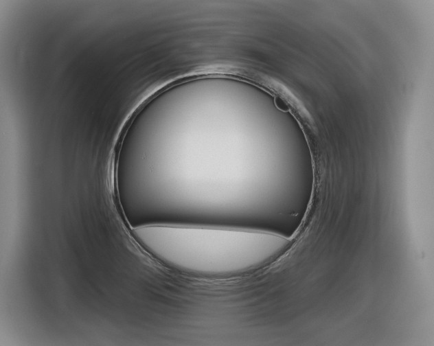 X0000116591276200912101324