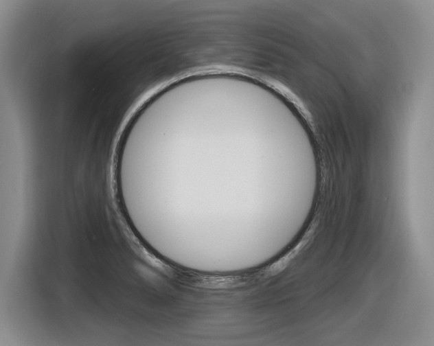 X0000116591278200912101324