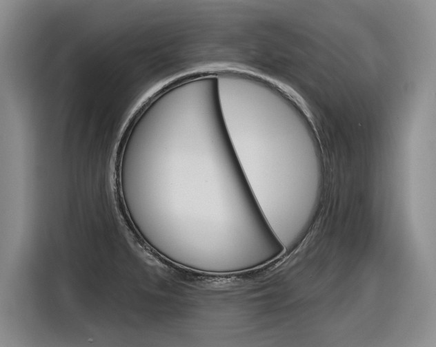 X0000116591279200912101324