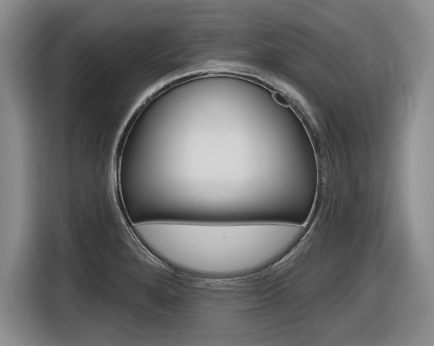 X0000116591280200912101324