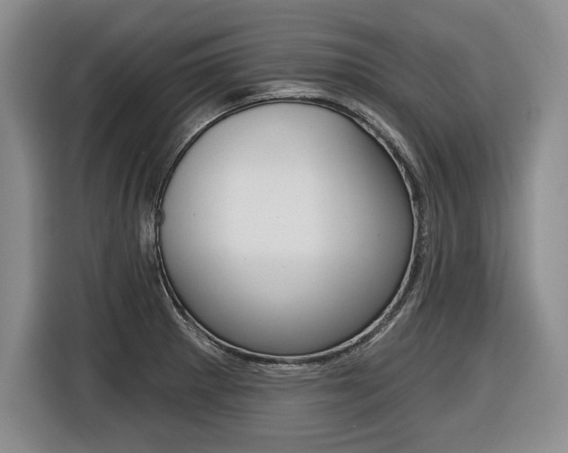 X0000116591281200912101324