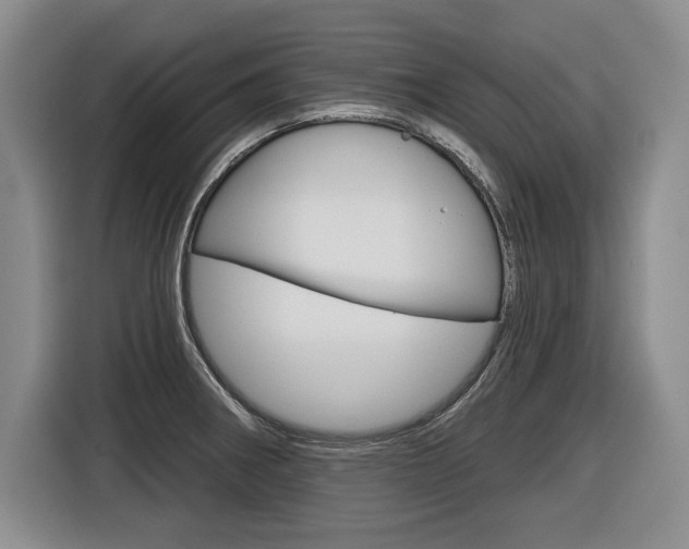 X0000116591282200912101324