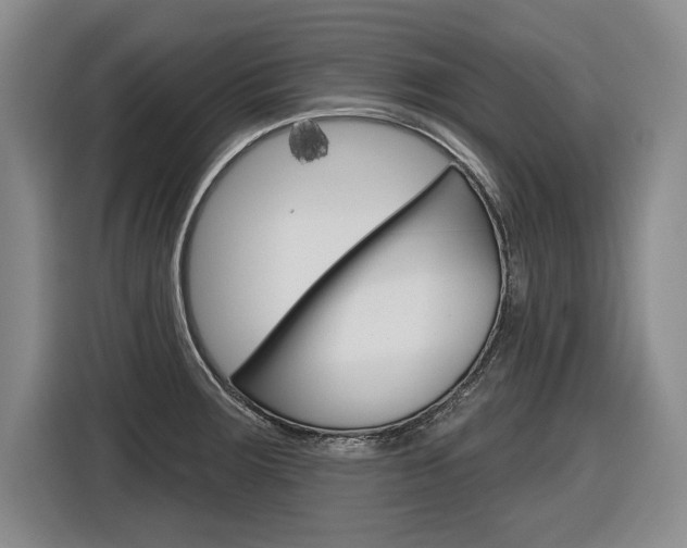 X0000116591283200912101324