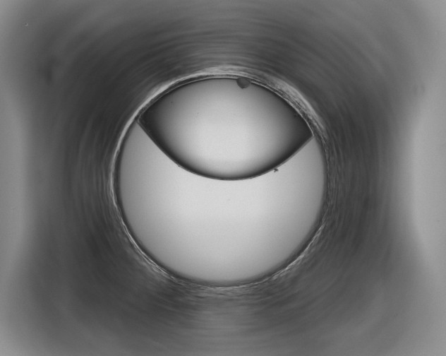 X0000116591284200912101324