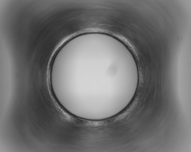 X0000116591286200912101324