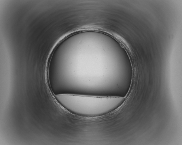 X0000116591288200912101324