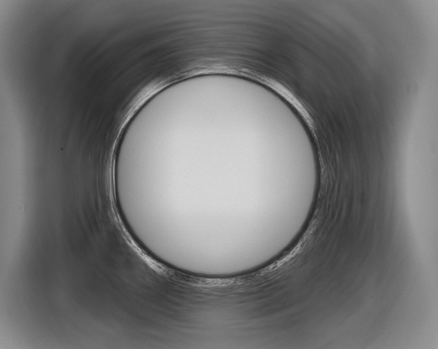 X0000116591290200912101324