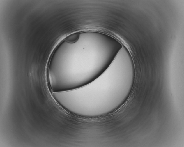X0000116591291200912101324